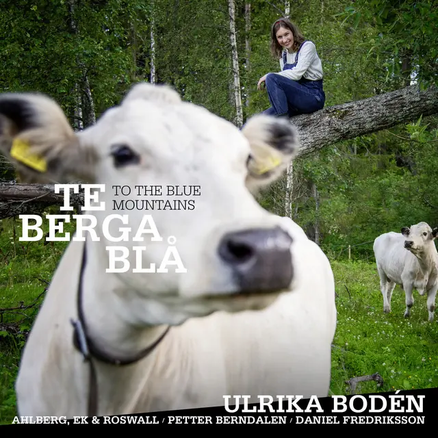Ulrika Bodén