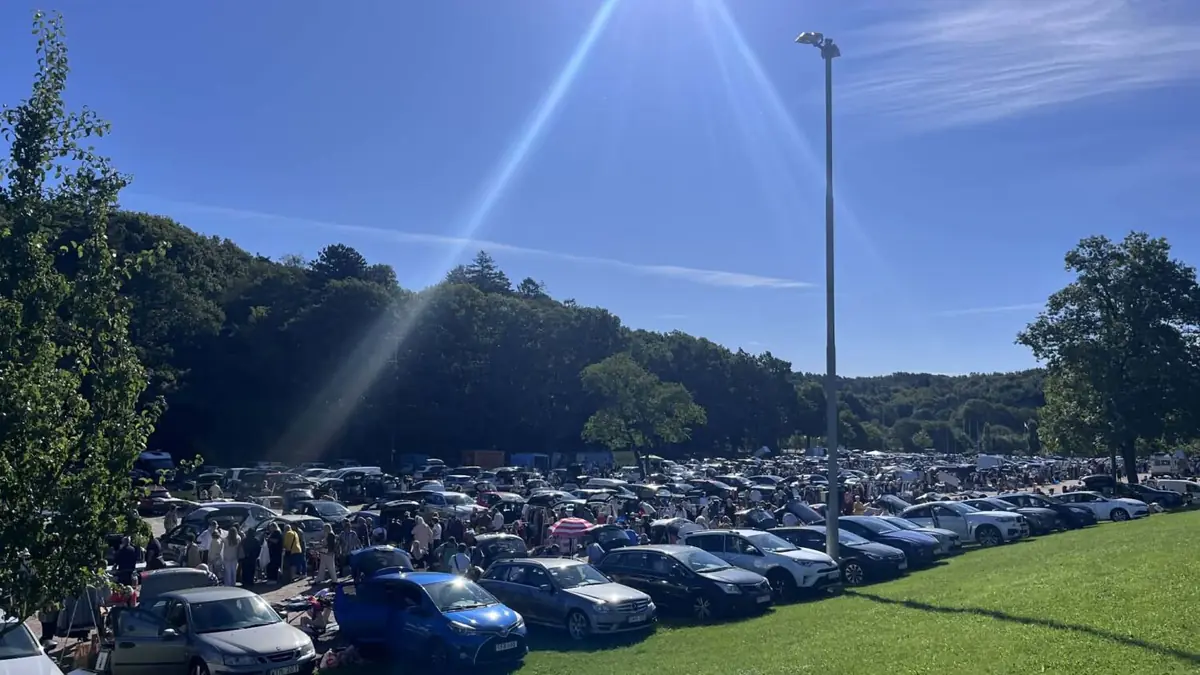 Bakluckeloppisen vid Slottsskogen — Slottsskogen, Gothenburg