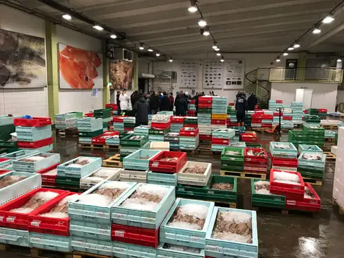 Guided tours at Gothenburg Fish Auction