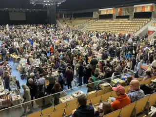 Мегалоппис в Партилле арене