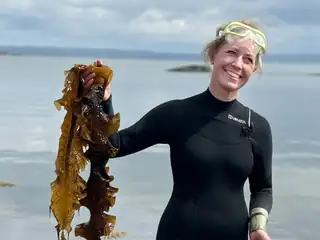 Tång & Tapas