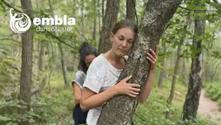 Деревья во времени и движении