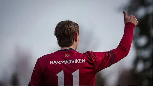 ÖIS - Fotbollsallsvenskan 2026