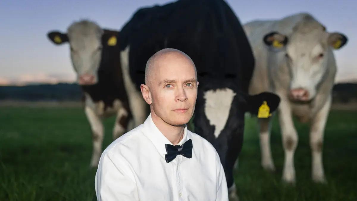 Jens Lekman - Bryggan — Bryggan på Ringön, Gothenburg