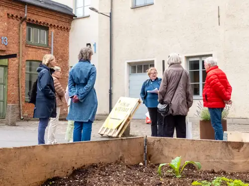 Guided City Walk in Gamlestaden