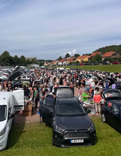 Bakluckeloppis at Ånäsfältet