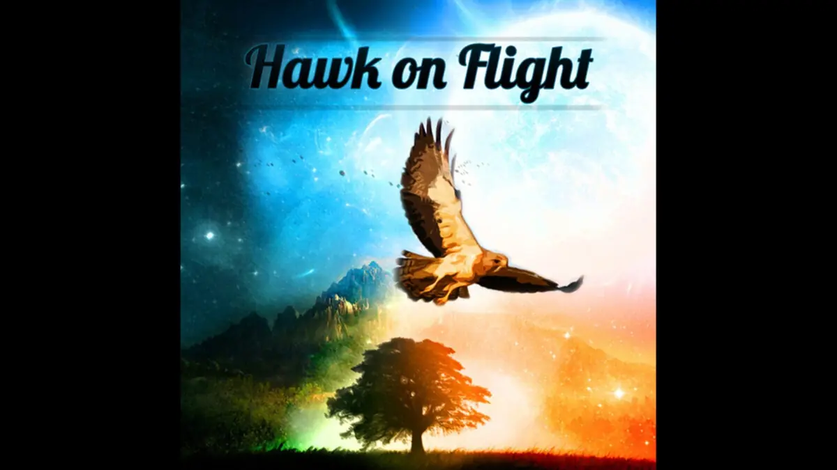 Hawk on Flight — Playhouse, Gothenburg
