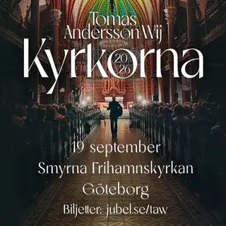 Томас Андерссон Виж