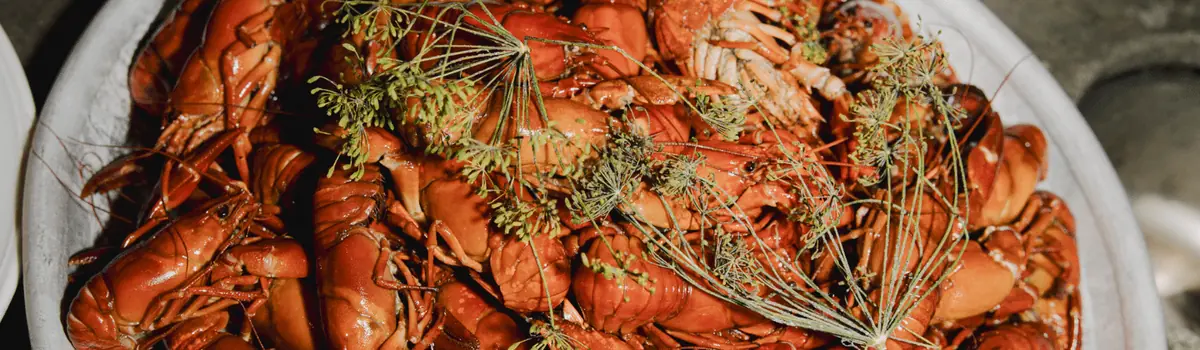 Crayfish Lunch at Teatergrillen — Teatergrillen, Stockholm