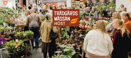 Trädgårdsmässan Höst 2026 på Stockholmsmässan