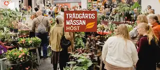 Trädgårdsmässan Höst 2026 på Stockholmsmässan