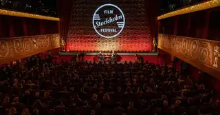 Stockholms internasjonale filmfestival 2026
