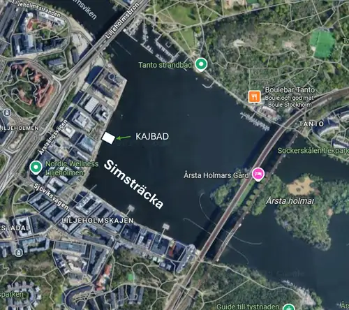 Riddarfjärdssimningen