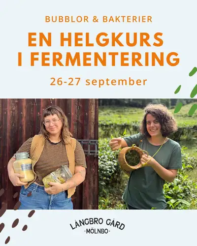 Fermentointiviikko