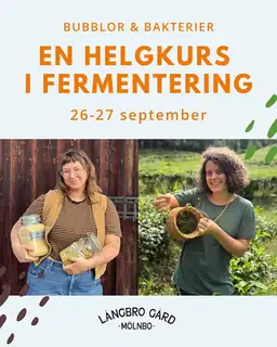 Gjæringshelg