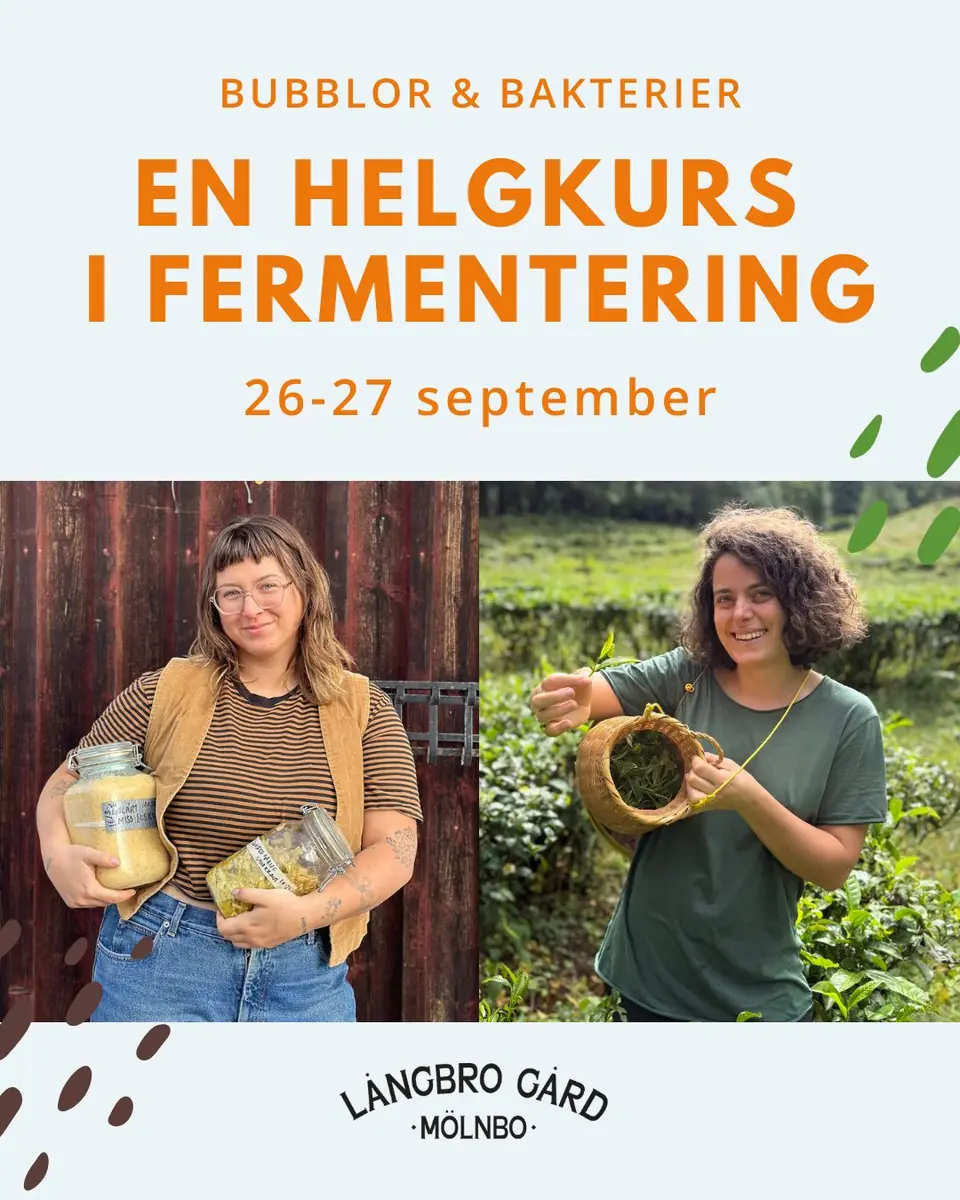 Fermentation Weekend — Långbro Gård (Mölnbo), Mölnbo