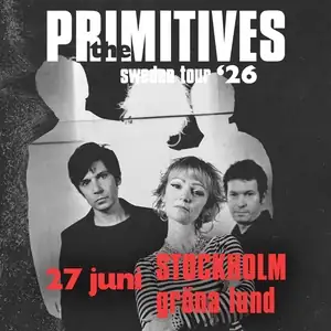 The Primitives