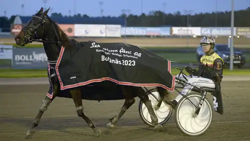 Cruising & V5 Evening Harness Racing