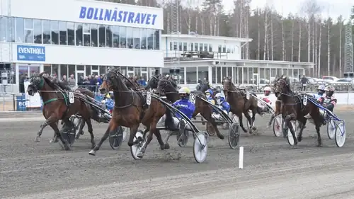 Kvällstrav V5