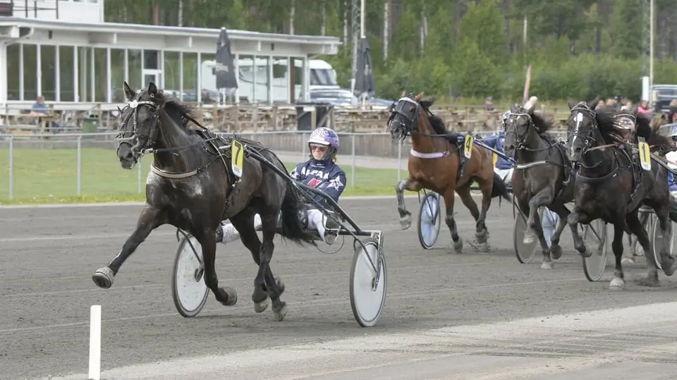 Bollnäs Trotting Track's Own Competition Day — Travrestaurangen Bollnäs., Bollnäs