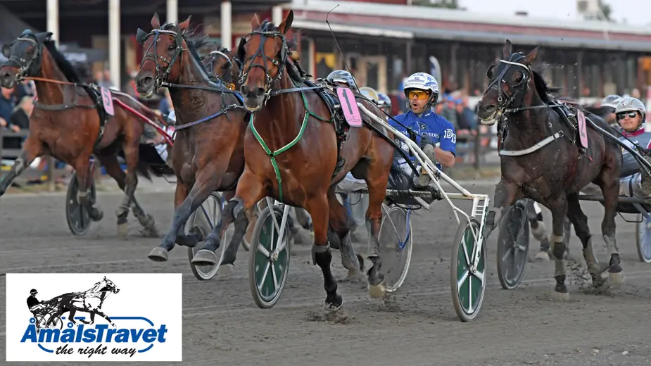 Harness Racing — Åmålstravet, Åmål