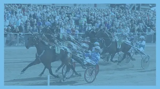 Nattravet — Halmstadtravet, Halmstad