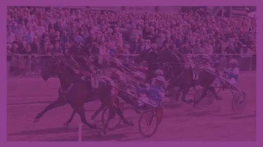 V86 Tuesday - HallandsMästaren — Halmstadtravet, Halmstad