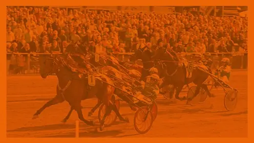 Thursday Trotting - Christmas Dinner — Halmstadtravet, Halmstad