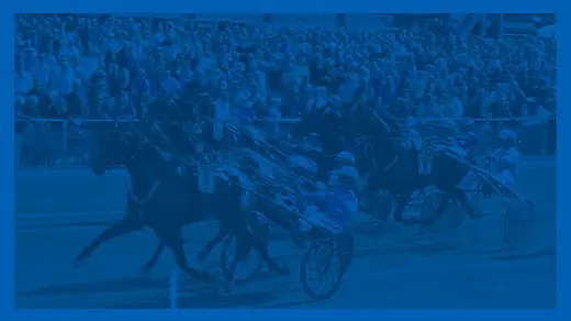 V85 Saturday — Halmstadtravet, Halmstad