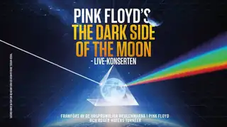 PINK FLOYD'S DARK SIDE OF THE MOON - IN CONCERT