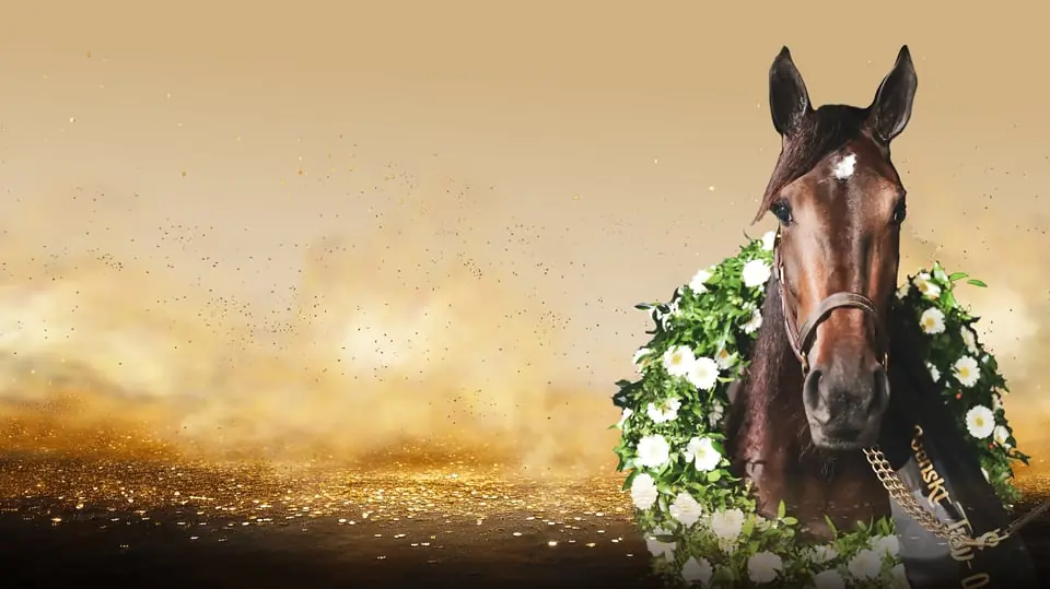 V85® Qualifier Races — Solvalla, Stockholm