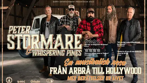 Peter Stormare - From Arbrå to Hollywood