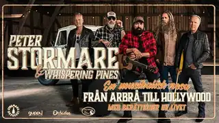 Peter Stormare - Fra Arbrå til Hollywood