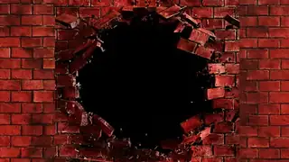 Pink Floyd's - The Wall