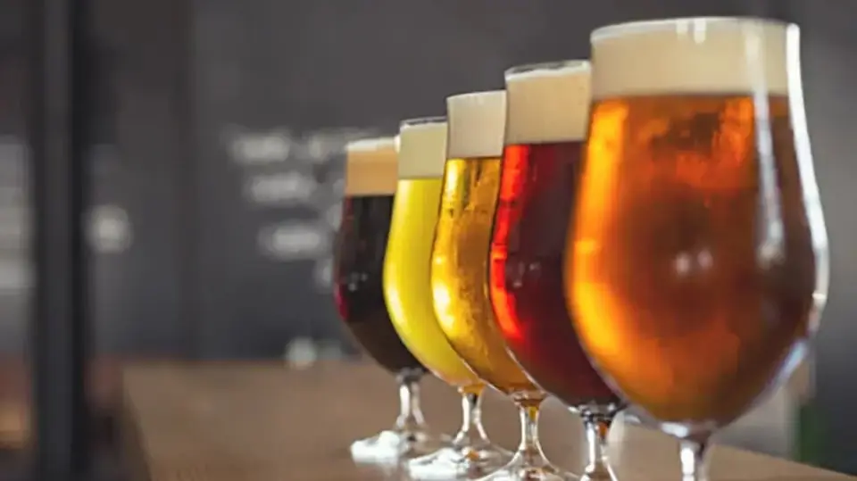 Beer Tasting in Söderbärkeparken — Söderbärkeparken, Söderbärke
