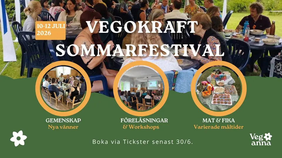 VegoKraft Sommarfestival — Alingsås Oscarsgatan 5, Alingsås