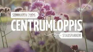 Centrumloppis во время фестиваля Boden Alive 2-4 июля