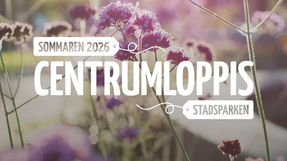 Centrumloppis at Boden Alive, July 2-4 — Stads - & Stadshusparken, Boden, Boden