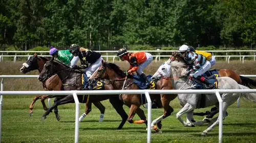 Lørdagsgalopp på Göteborg Galopp