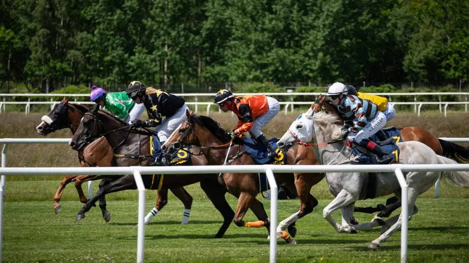 Saturday Galopp at Göteborg Galopp — Göteborg Galopp, Gothenburg