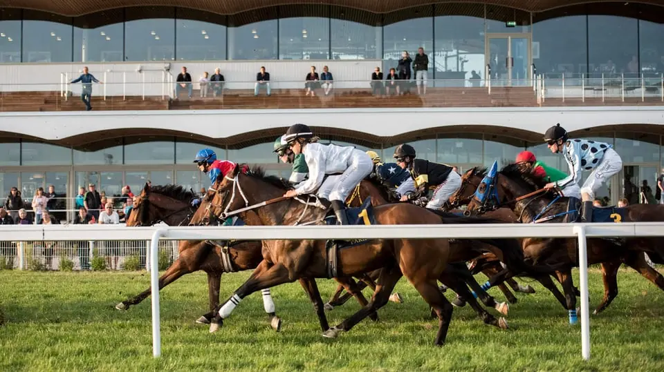 Stockholm Cup at Bro Park — Bro Park, Bro