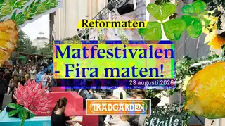 Фира Матен - Реформатенс матфестивал на Трэдгорден