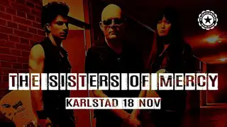 The Sisters of Mercy