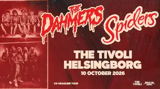 Spiders & The Dahmers