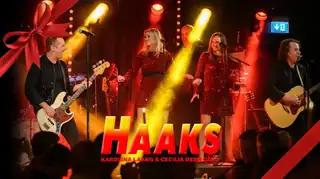 Рождественский ужин и рождественское шоу с Haaks 2026