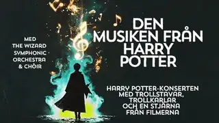 Musikken fra Harry Potter - livekonsert