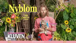 Henrik Nyblom - "Kluven"