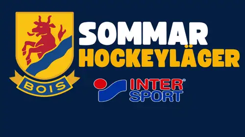 Summer Hockey Camp - Week 33, August 10-13, 2026