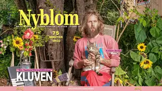 Henrik Nyblom - Kluven