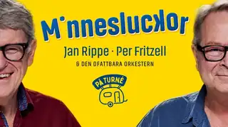 Minnesluckor - Jan Rippe & Per Fritzell